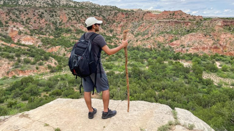 The Venom of a Highly Dangerous Texan Animal Can Permanently Harm Your Kidneys