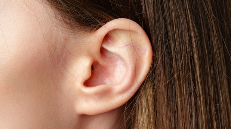 The Mystery Surrounding the Origin of Human Ears Continues